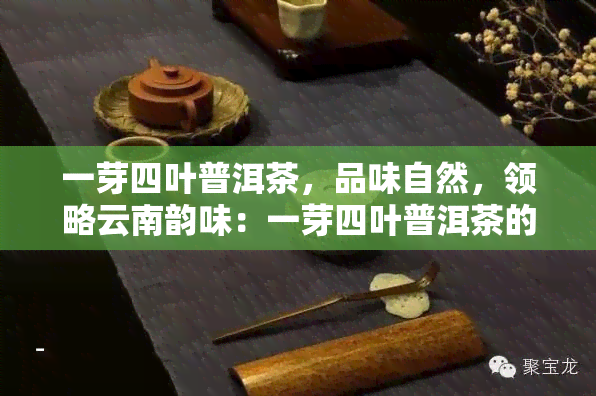 一芽四叶普洱茶，品味自然，领略云南韵味：一芽四叶普洱茶的魅力探索