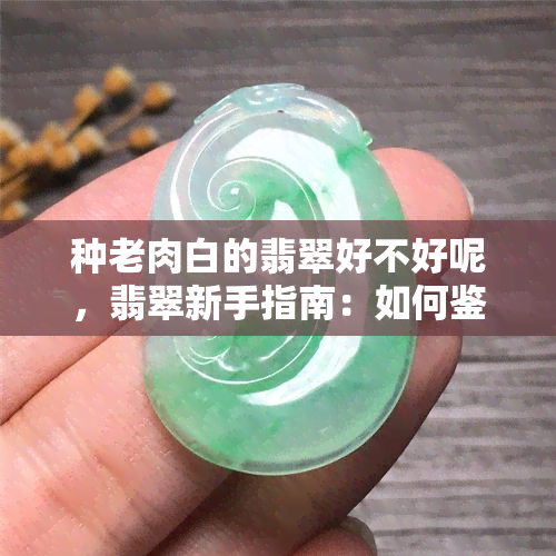 种老肉白的翡翠好不好呢，翡翠新手指南：如何鉴别种老肉白的翡翠品质？