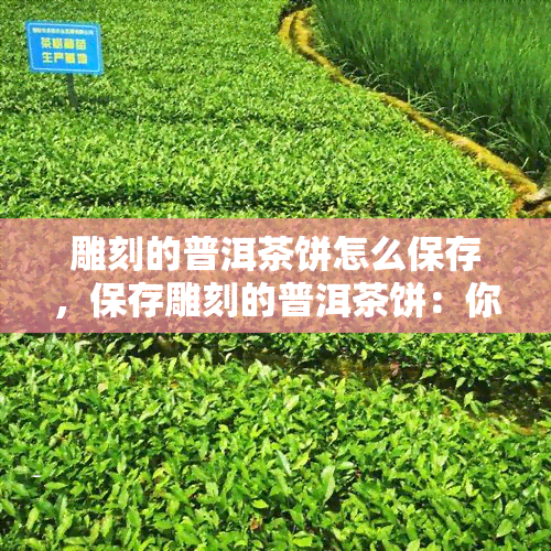 雕刻的普洱茶饼怎么保存，保存雕刻的普洱茶饼：你需要知道的关键步骤