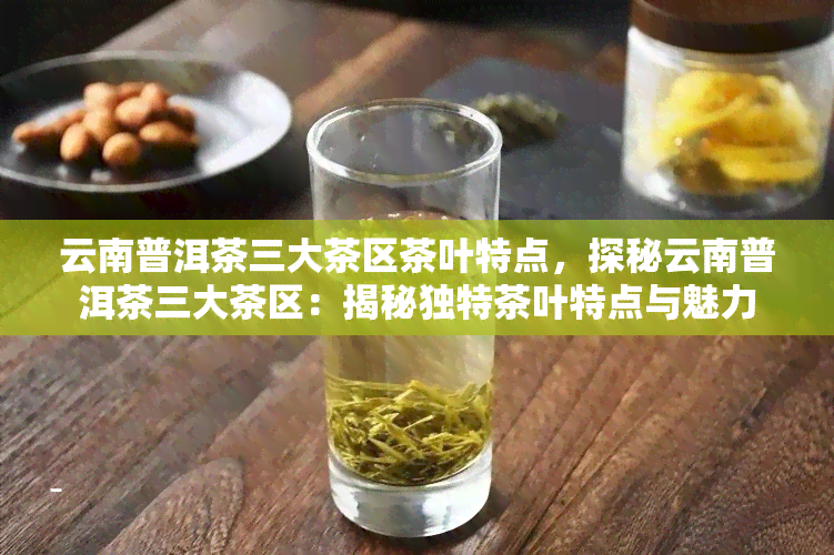 云南普洱茶三大茶区茶叶特点，探秘云南普洱茶三大茶区：揭秘独特茶叶特点与魅力