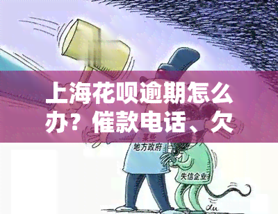 上海花呗逾期怎么办？催款电话、欠款金额、是否会上诉全解析！