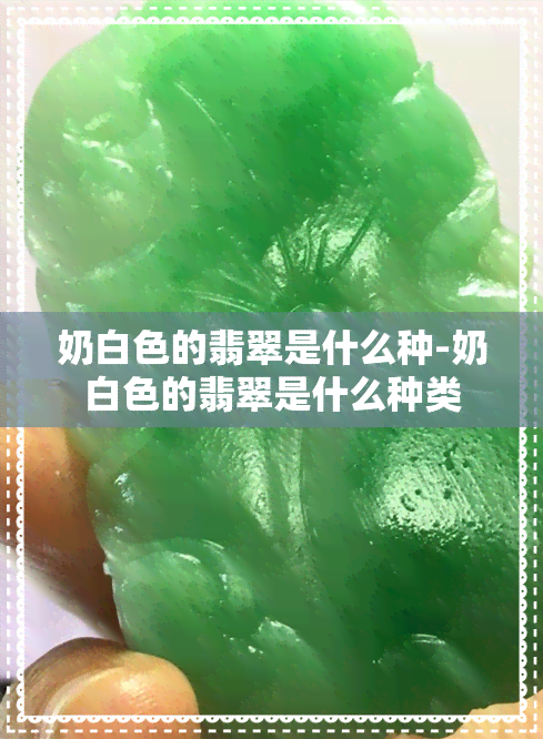 奶白色的翡翠是什么种-奶白色的翡翠是什么种类