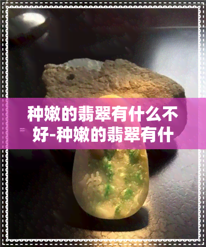 种嫩的翡翠有什么不好-种嫩的翡翠有什么不好的寓意