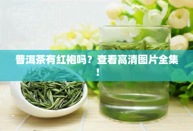 普洱茶有红袍吗？查看高清图片全集！