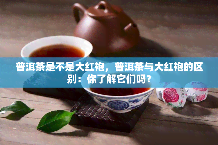 普洱茶是不是大红袍，普洱茶与大红袍的区别：你了解它们吗？