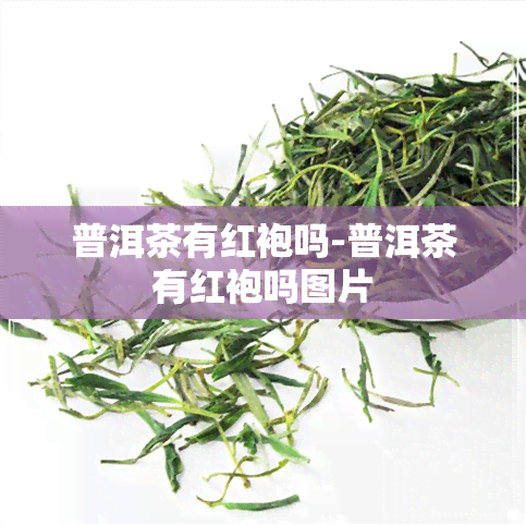 普洱茶有红袍吗-普洱茶有红袍吗图片