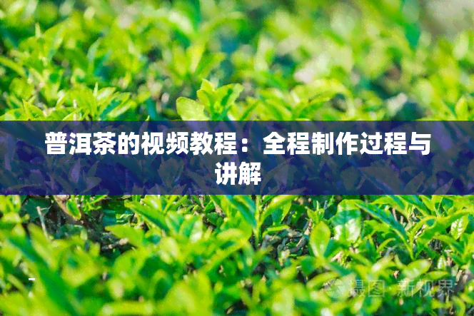 普洱茶的视频教程：全程制作过程与讲解