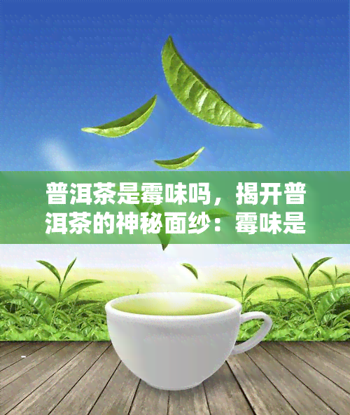 普洱茶是霉味吗，揭开普洱茶的神秘面纱：霉味是否为其特点？