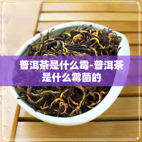 普洱茶是什么霉-普洱茶是什么霉菌的