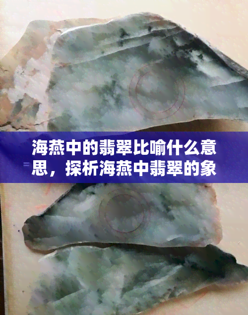 海燕中的翡翠比喻什么意思，探析海燕中翡翠的象征意义