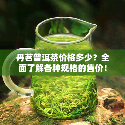 丹茗普洱茶价格多少？全面了解各种规格的售价！