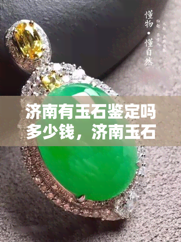 济南有玉石鉴定吗多少钱，济南玉石鉴定价格查询，专业鉴定机构一览