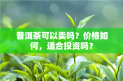 普洱茶可以卖吗？价格如何，适合投资吗？