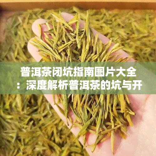 普洱茶闭坑指南图片大全：深度解析普洱茶的坑与开沟