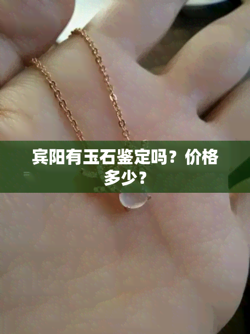 宾阳有玉石鉴定吗？价格多少？