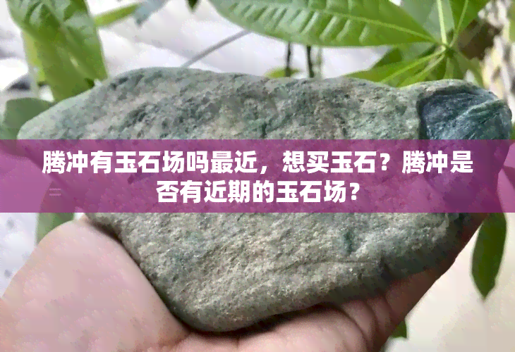 腾冲有玉石场吗最近，想买玉石？腾冲是否有近期的玉石场？