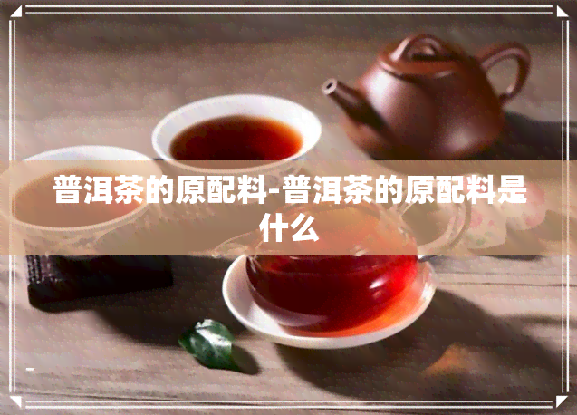 普洱茶的原配料-普洱茶的原配料是什么