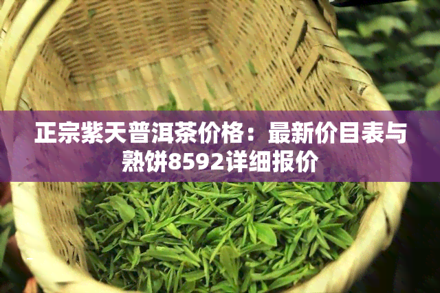 正宗紫天普洱茶价格：最新价目表与熟饼8592详细报价