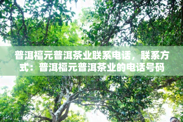 普洱福元普洱茶业联系电话，联系方式：普洱福元普洱茶业的电话号码