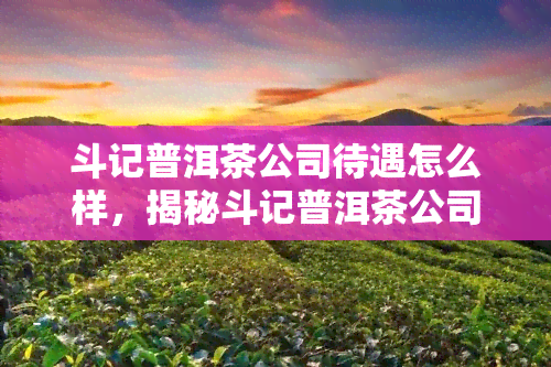 斗记普洱茶公司待遇怎么样，揭秘斗记普洱茶公司的员工待遇！