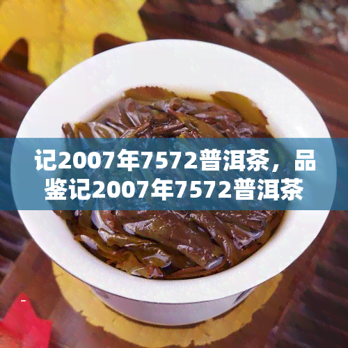 记2007年7572普洱茶，品鉴记2007年7572普洱茶：一场味蕾的宴