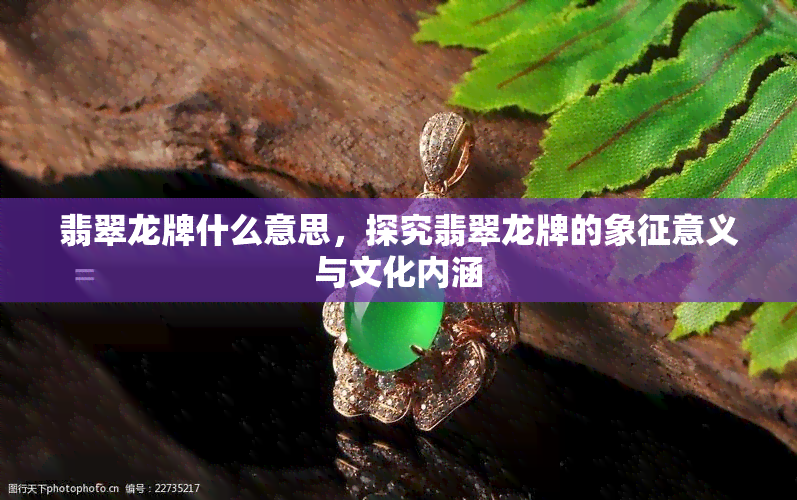 翡翠龙牌什么意思，探究翡翠龙牌的象征意义与文化内涵