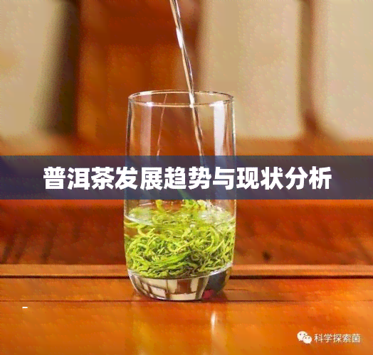 普洱茶发展趋势与现状分析