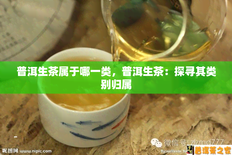 普洱生茶属于哪一类，普洱生茶：探寻其类别归属