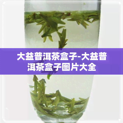 大益普洱茶盒子-大益普洱茶盒子图片大全