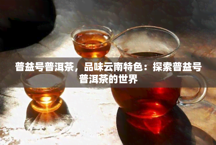 普益号普洱茶，品味云南特色：探索普益号普洱茶的世界