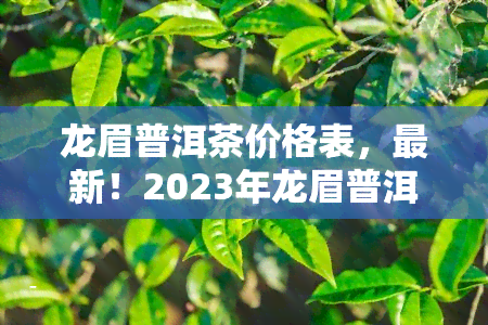 龙眉普洱茶价格表，最新！2023年龙眉普洱茶价格表全面出炉，一文看懂各类茶叶的价格走势！