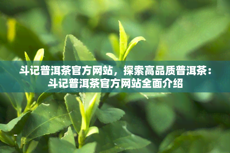 斗记普洱茶官方网站，探索高品质普洱茶：斗记普洱茶官方网站全面介绍