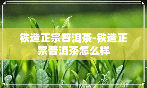 铁造正宗普洱茶-铁造正宗普洱茶怎么样