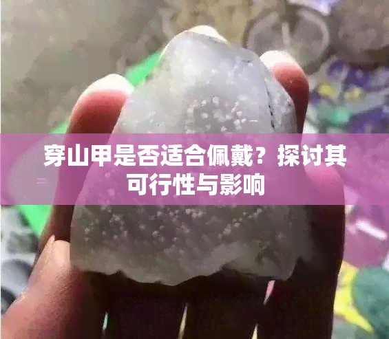 穿山甲是否适合佩戴？探讨其可行性与影响