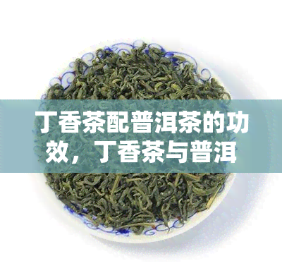 丁香茶配普洱茶的功效，丁香茶与普洱茶的完美搭配：功效解析