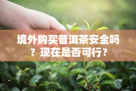 境外购买普洱茶安全吗？现在是否可行？