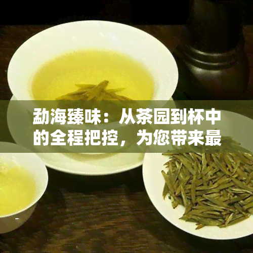 勐海臻味：从茶园到杯中的全程把控，为您带来最纯正的普洱茶体验