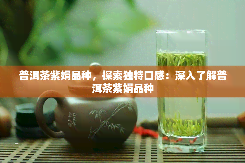 普洱茶紫娟品种，探索独特口感：深入了解普洱茶紫娟品种