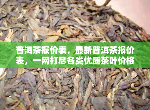 普洱茶报价表，最新普洱茶报价表，一网打尽各类优质茶叶价格信息！