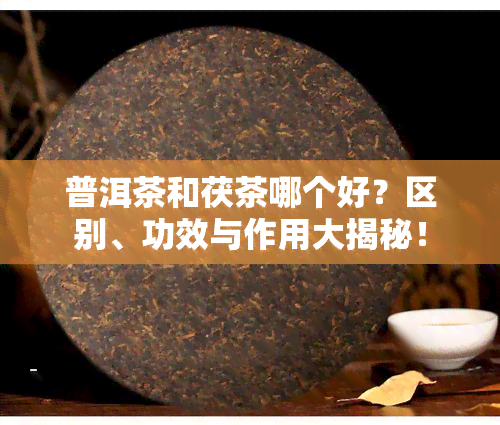 普洱茶和茯茶哪个好？区别、功效与作用大揭秘！