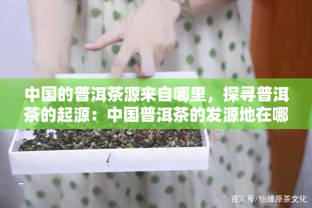 中国的普洱茶源来自哪里，探寻普洱茶的起源：中国普洱茶的发源地在哪里？