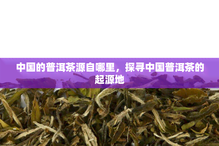 中国的普洱茶源自哪里，探寻中国普洱茶的起源地