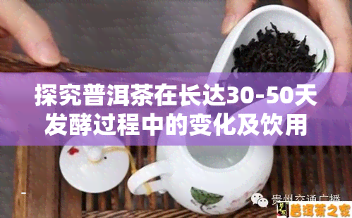 探究普洱茶在长达30-50天发酵过程中的变化及饮用适宜性