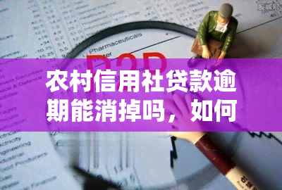 农村信用社贷款逾期能消掉吗，如何消除农村信用社贷款逾期记录？