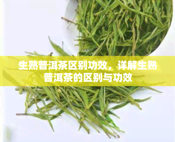 生熟普洱茶区别功效，详解生熟普洱茶的区别与功效