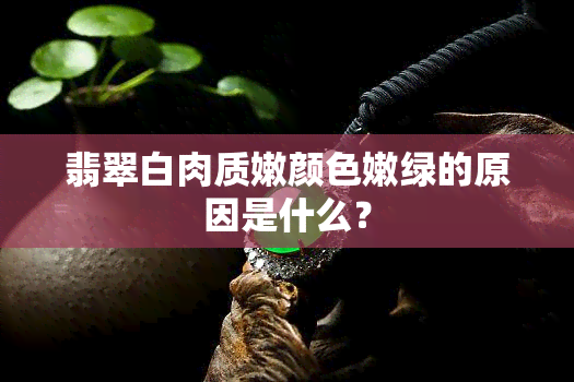 翡翠白肉质嫩颜色嫩绿的原因是什么？