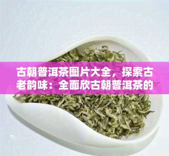 古朝普洱茶图片大全，探索古老韵味：全面欣古朝普洱茶的精美图片大全