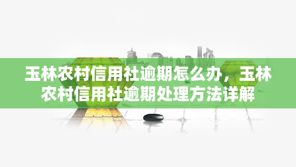 玉林农村信用社逾期怎么办，玉林农村信用社逾期处理方法详解