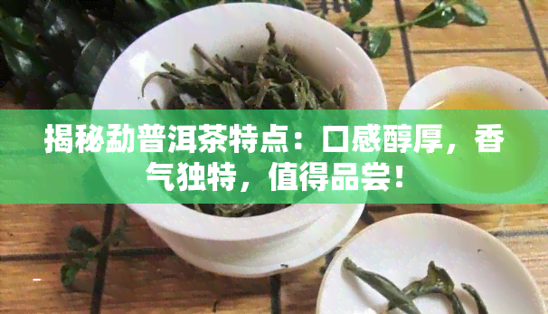 揭秘勐普洱茶特点：口感醇厚，香气独特，值得品尝！