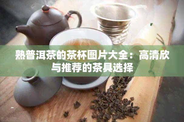 熟普洱茶的茶杯图片大全：高清欣与推荐的茶具选择